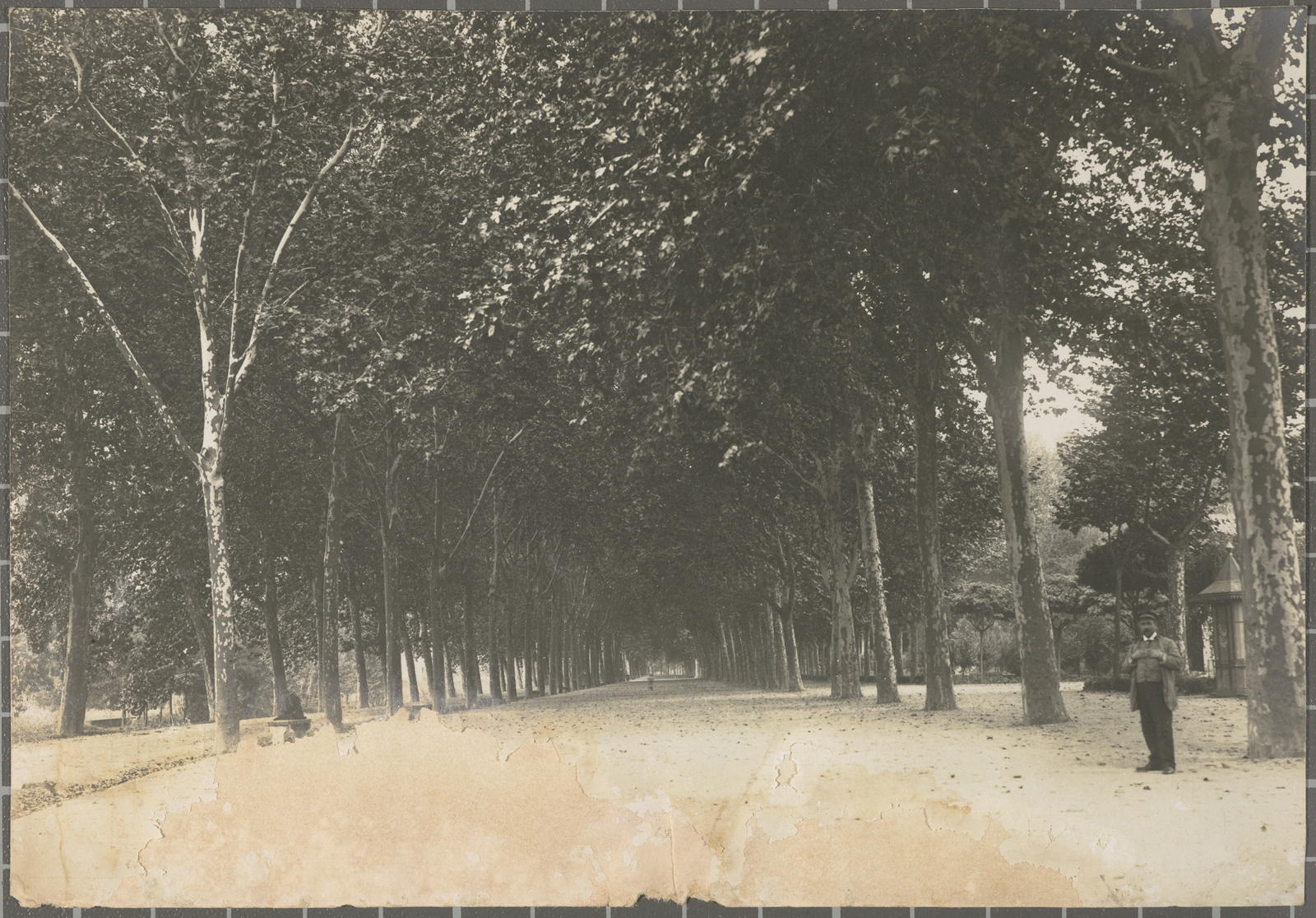 Desconegut, [The Meadow]