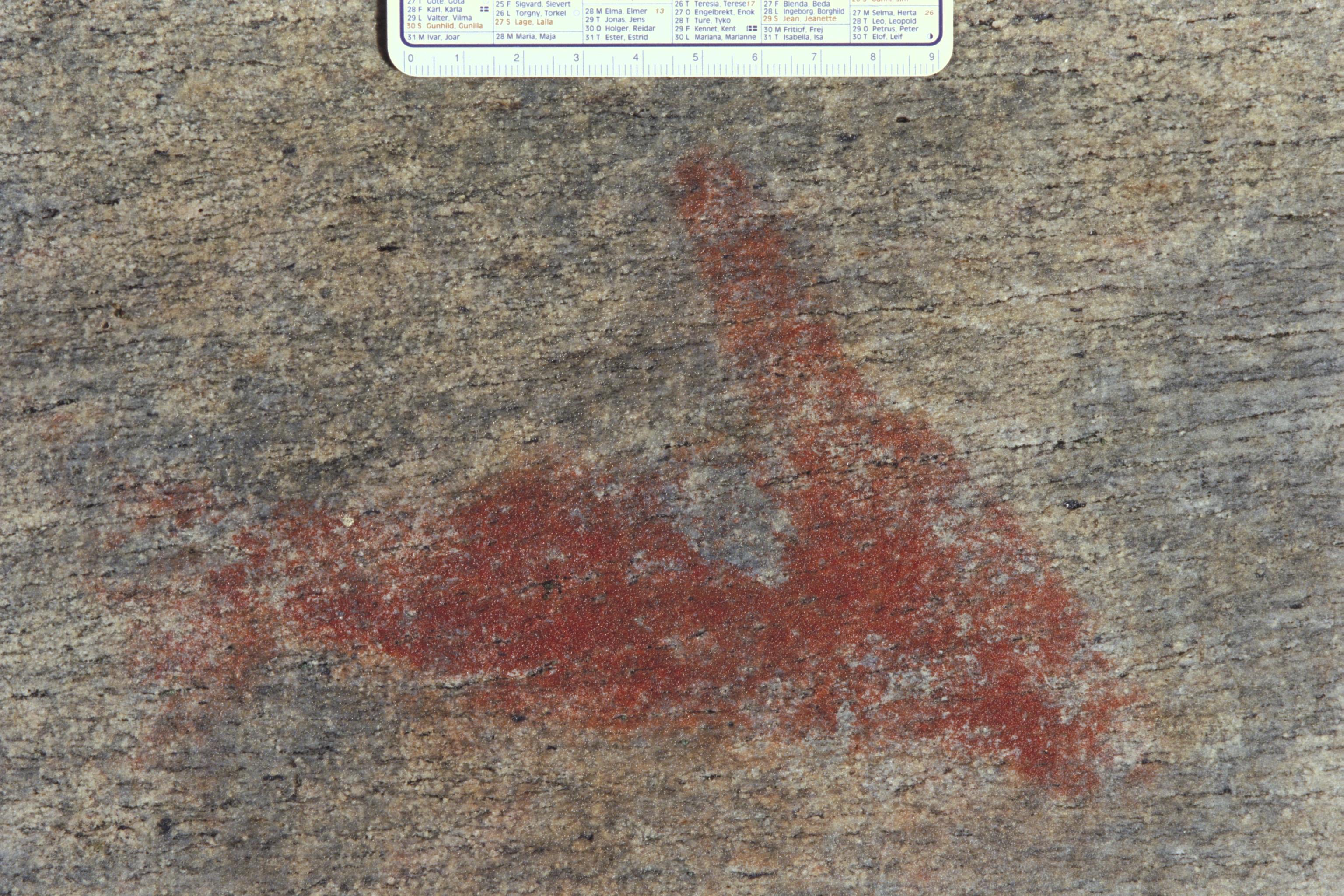 Bengt A Lundberg, Blomskog 146