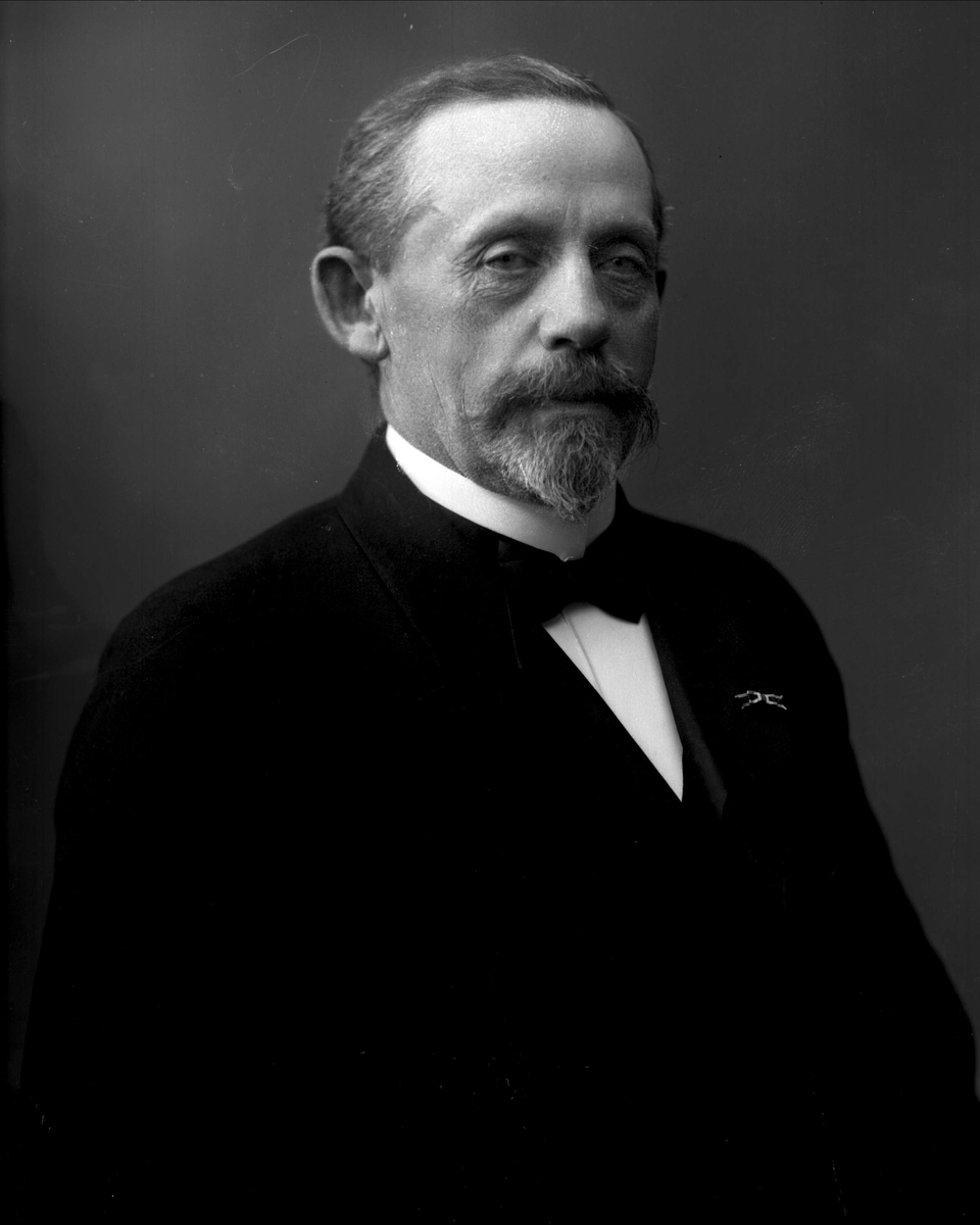 Gustav Borgen, Portrett, hvalfangerdirektør Marcus Christian Bull.