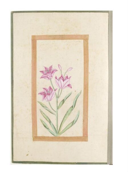 Unknown, Painting