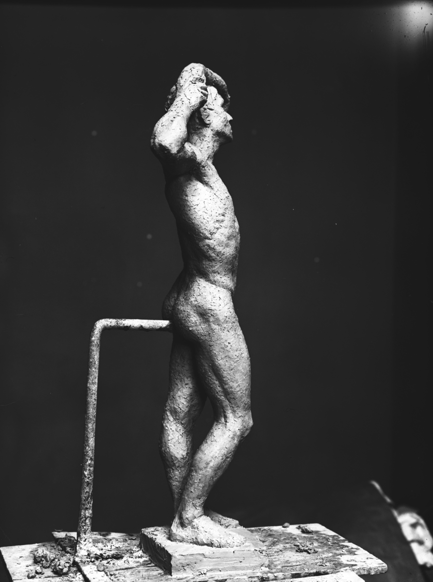 Anders Beer Wilse, Prot: Janson Gunnnar statue
