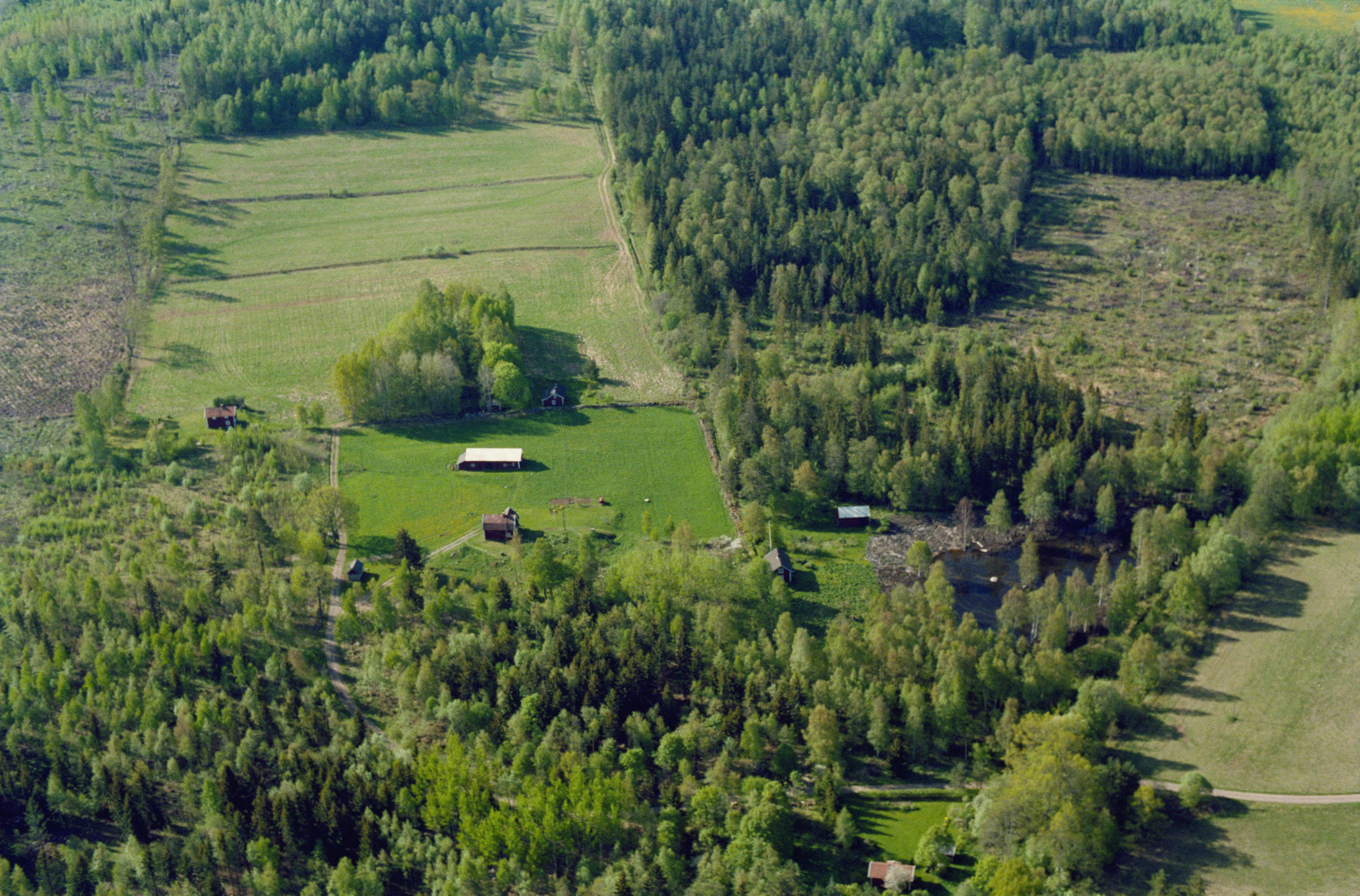 Jan Norrman, Stjärnvik