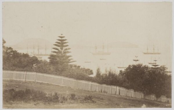 Unknown, Photograph
