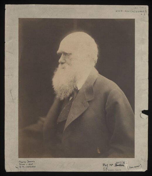 Cameron, Julia Margaret, Charles Darwin
