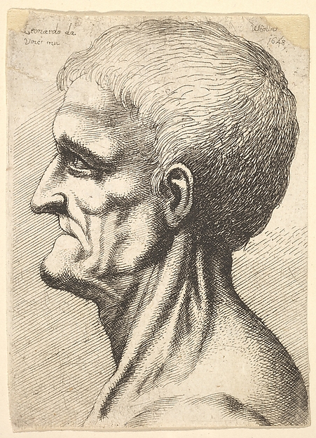 Wenceslaus Hollar, Head of a toothless man with bare, sinewy neck in profile to left