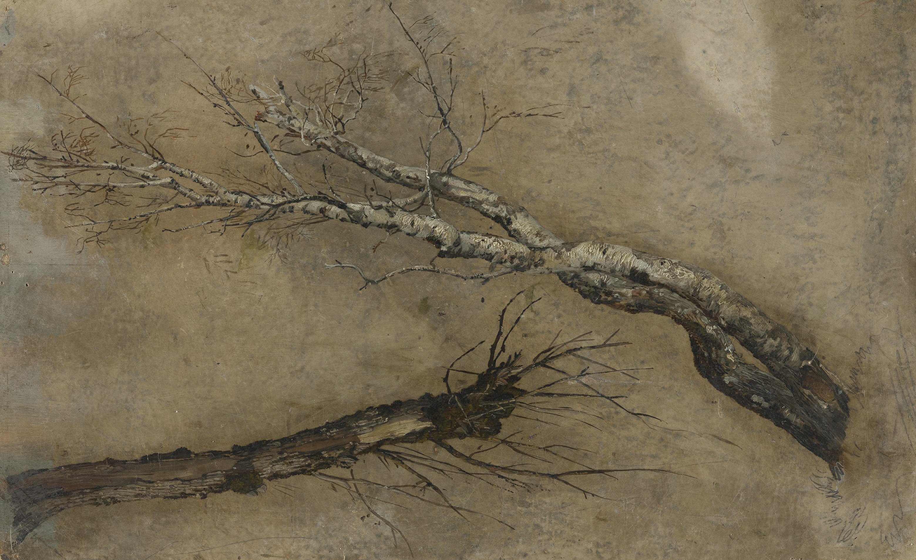 Carl Blechen, Birken- und Weidenstamm