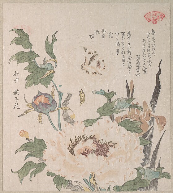 Kubo Shunman, Peonies and Iris