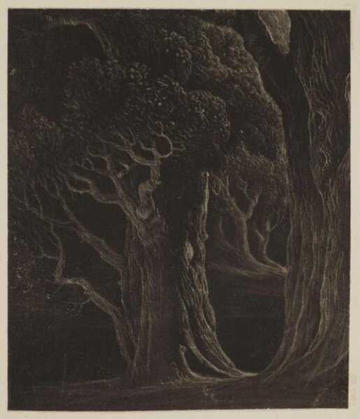 John Martin, Martins Album
