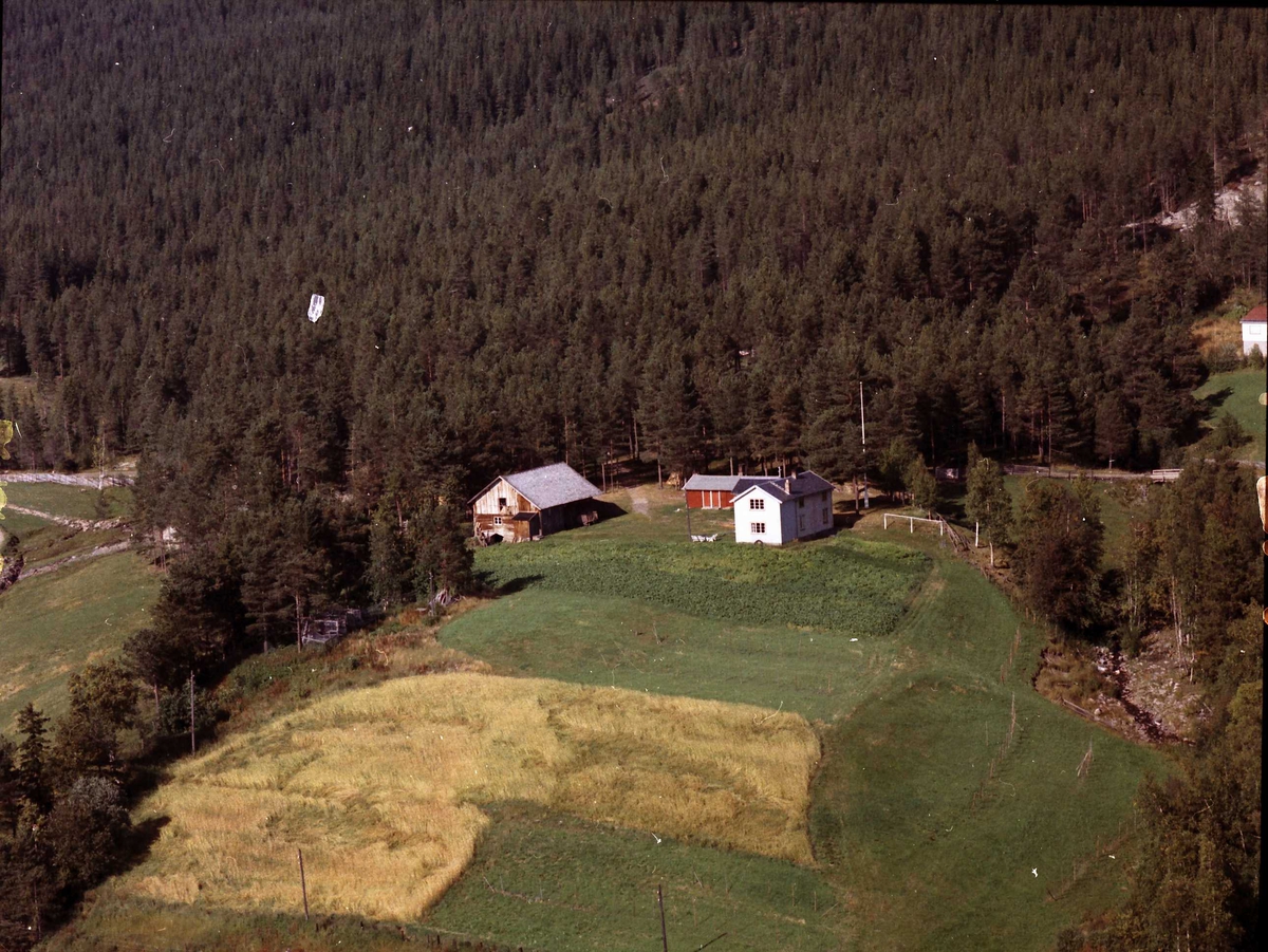 Widerøes Flyveselskap A/S, Gårdsbruk.