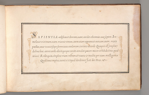 Anonymous, Calligraphic Exercise in Latin (Cursive Script)