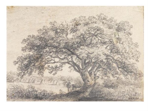 Constable, John (RA), An oak tree in a hayfield