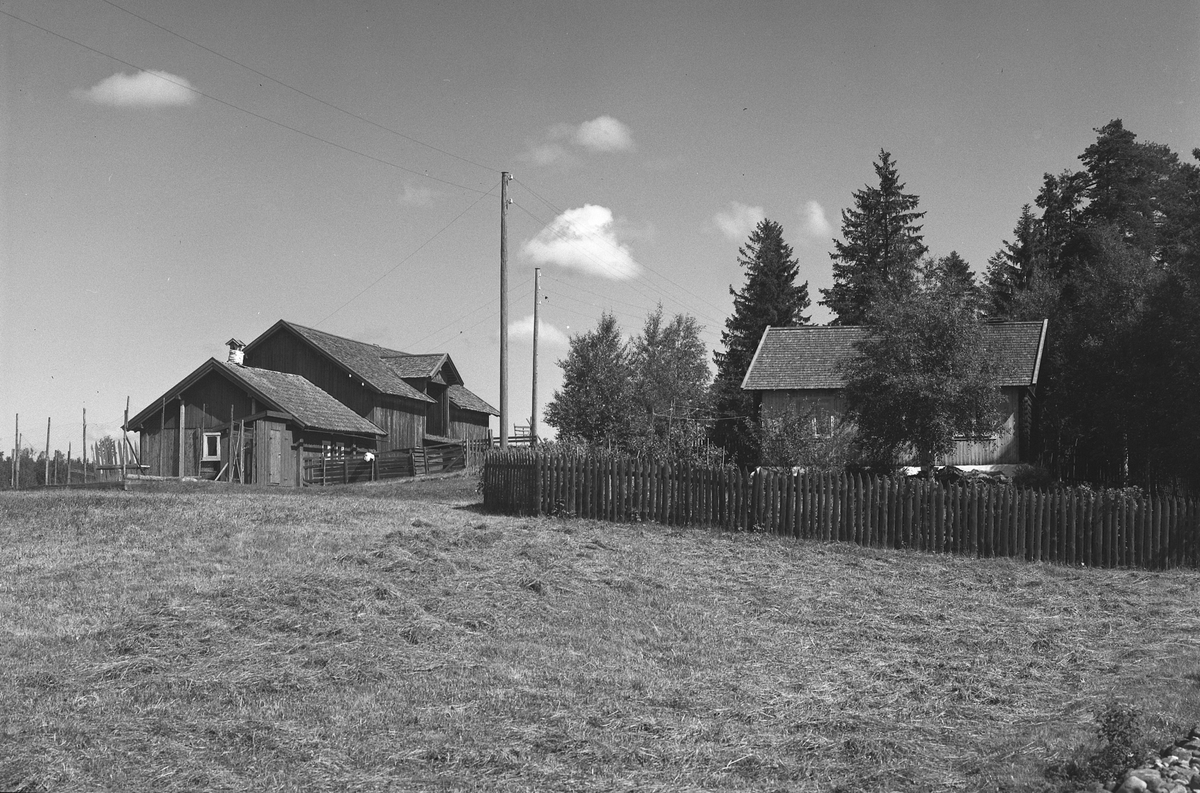 Anno Domkirkeodden, EKSTR: GARDSTUN, SOLHØI. Se Løtenboka, bind 1. Bygdeboka fra 1949, side 561