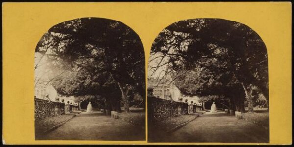Unknown, View of a path in the grounds of country house