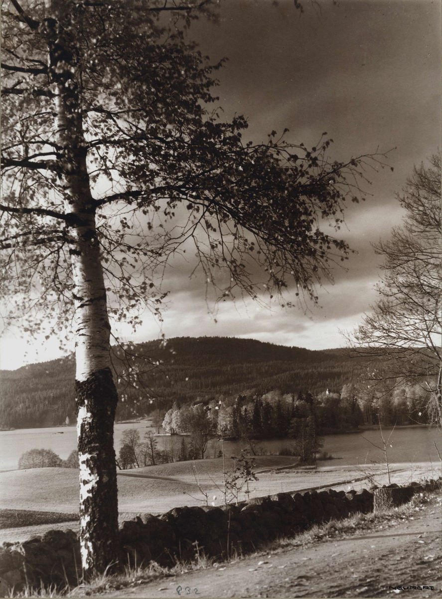 Hermann Christian Neupert, Landskap, Bogstad, Oslo. Oversiktsbilde med Bogstad gård i bakgrunnen. Bogstadvannet t.v. Jorder i forgrunnen. Fotografert av H.C. Neupert (nr.832) ant. 1920.
