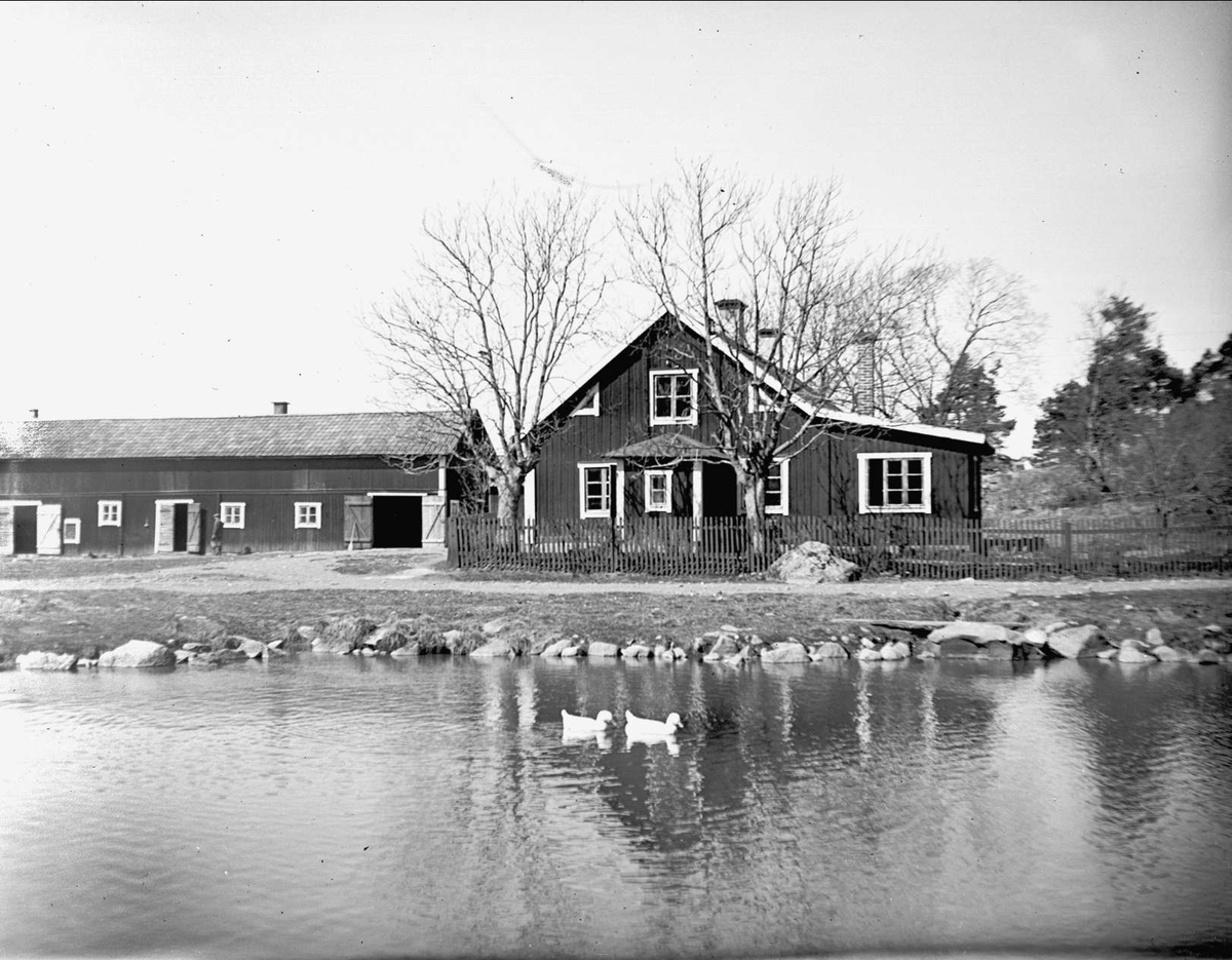 August Fredrik Schagerström, Farm environment at ducks, Vaksala, Uppsala 1933
