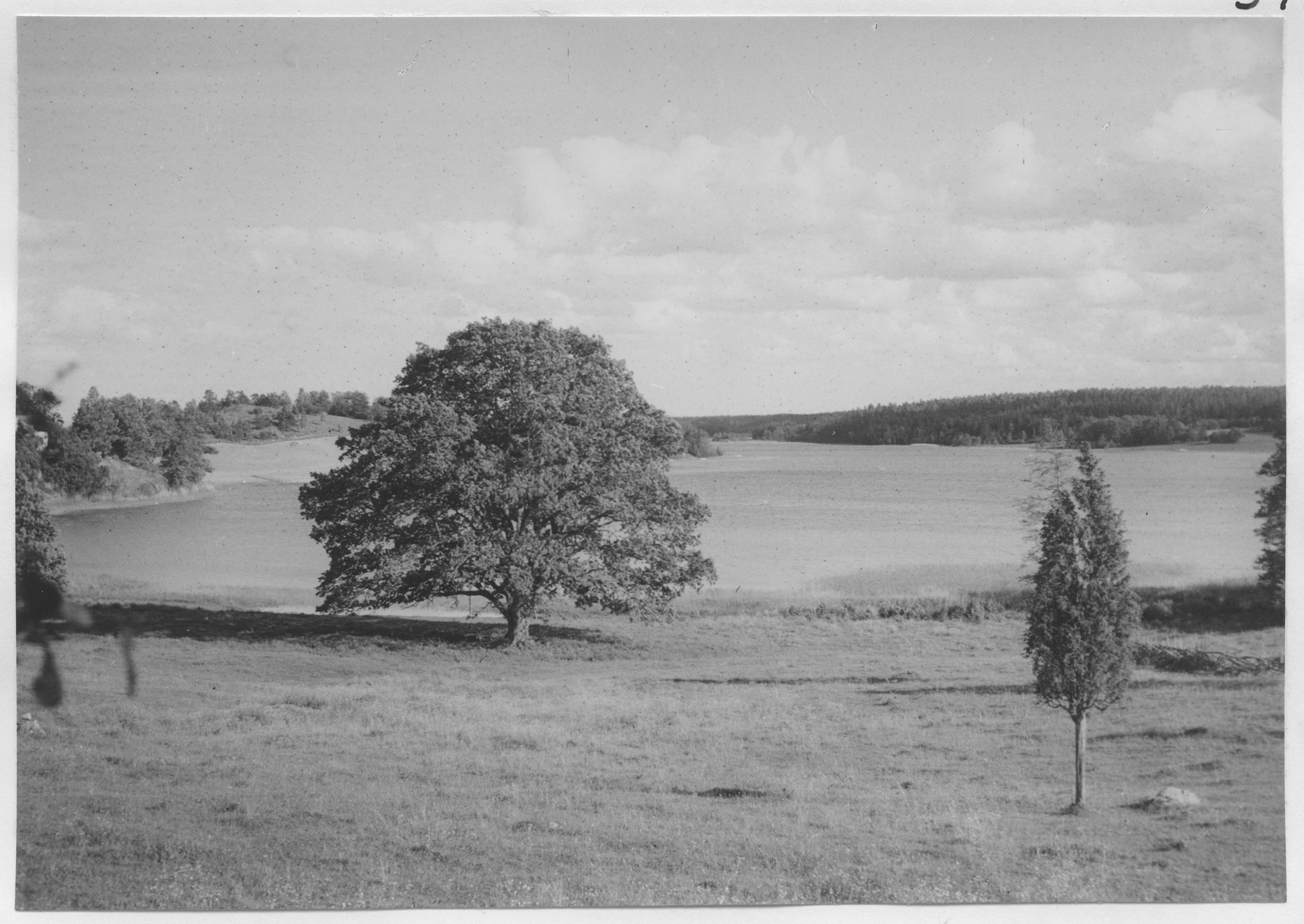 Mårten Sjöbeck, Sjön Syrsan