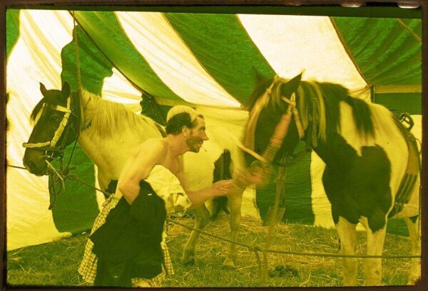 Hinde, John Wilfrid, a clown and two horses