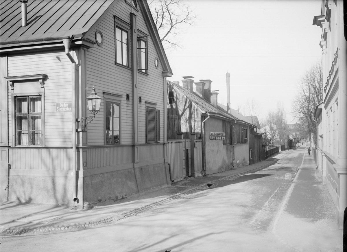 Alfred Dahlgren, Castle alley - Nedre SlottsSlo, Fjärdingen, Uppsala 1901 - 1902