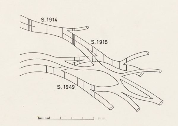 H.G Wetselaar, Schematic representation of the central nervous system
