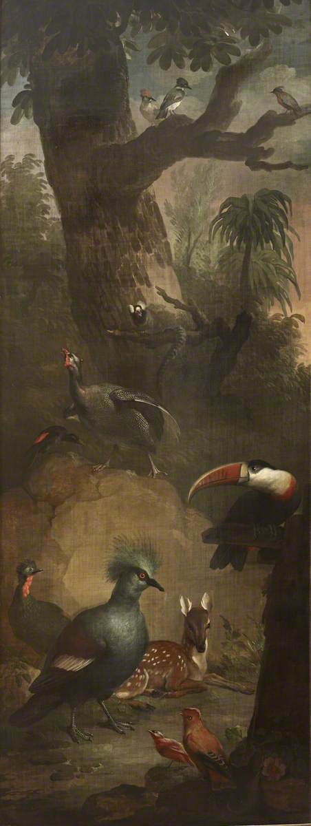 Aert Schouman, Roe Deer, Marmoset, Toucan and other Birds