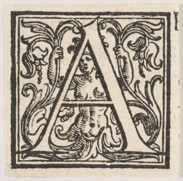 Unknown, Print