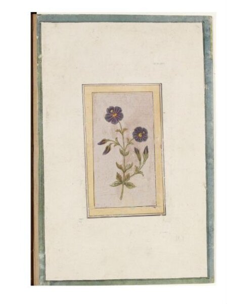 Unknown, Painting