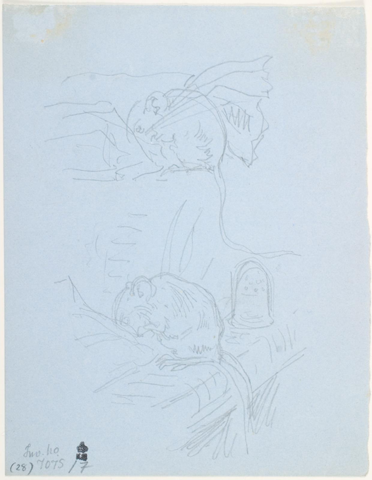 Lorenz Frølich, Studier af mus