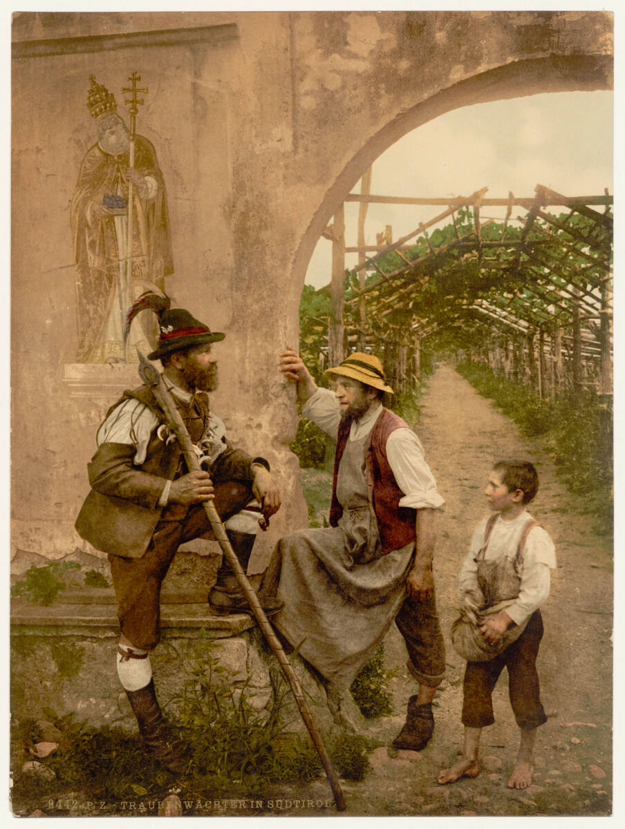 Anonym, Traubenwächter in Südtirol.