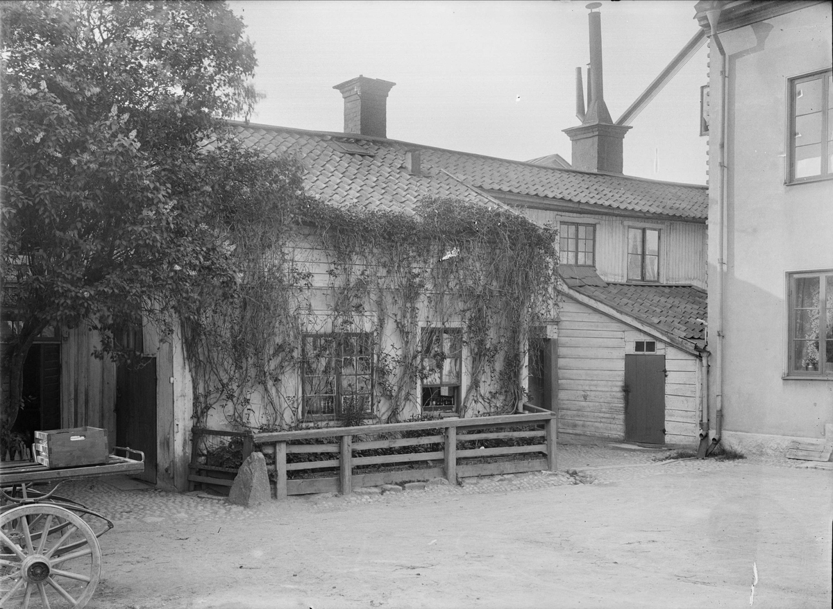 Alfred Dahlgren, Gårdsinteriör, kvarteret Pistolen, S:t Johannesgatan, Uppsala 1908