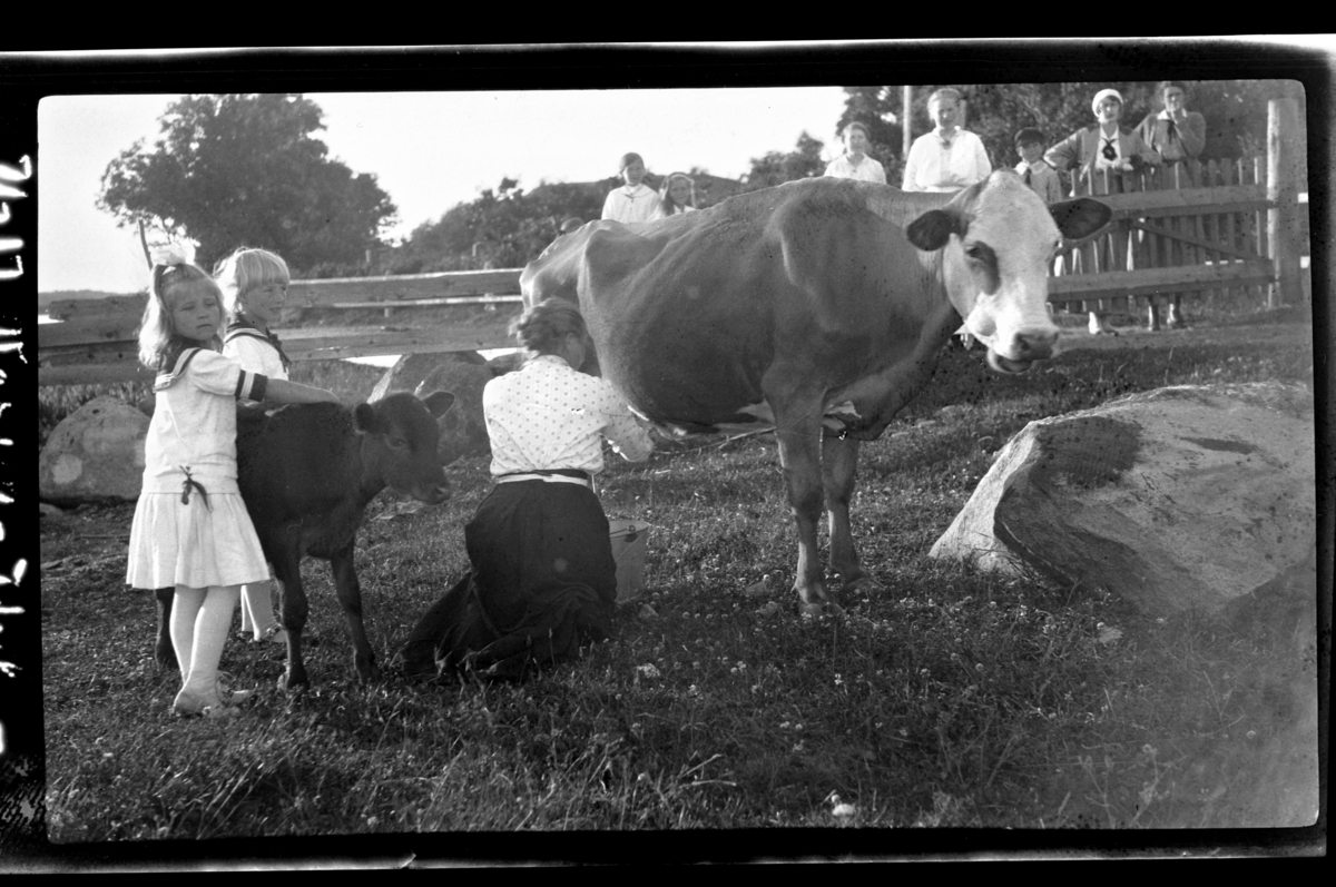 Rolf Sr. Sundt, NF.34664-291
