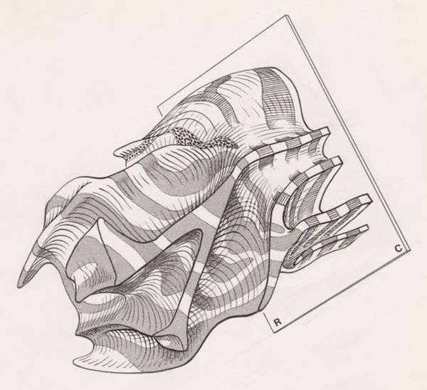 J Tinkelenberg, Cerebellum of a mouse