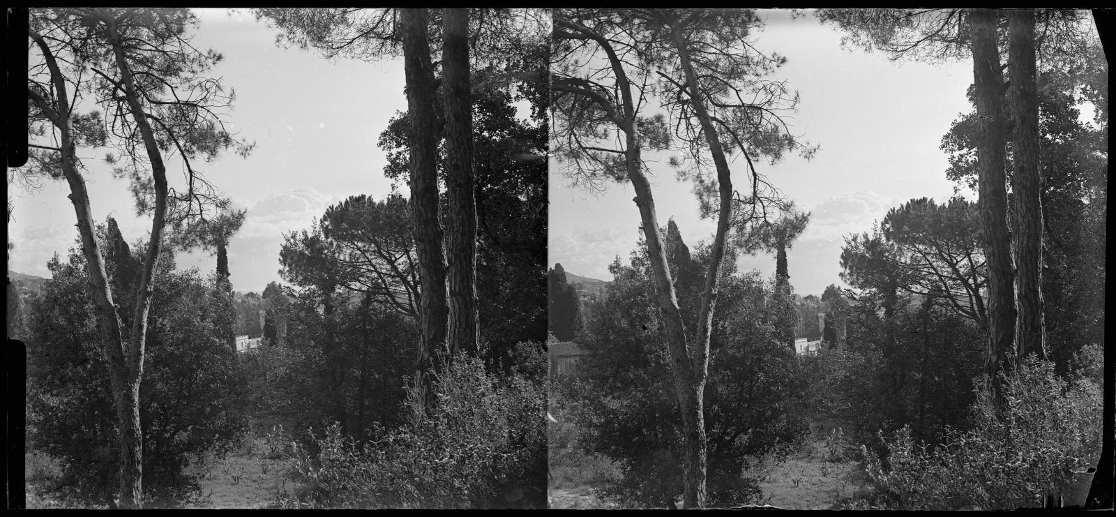 Desconegut, [Entorn natural de la muntanya de Sant Pere Màrtir]