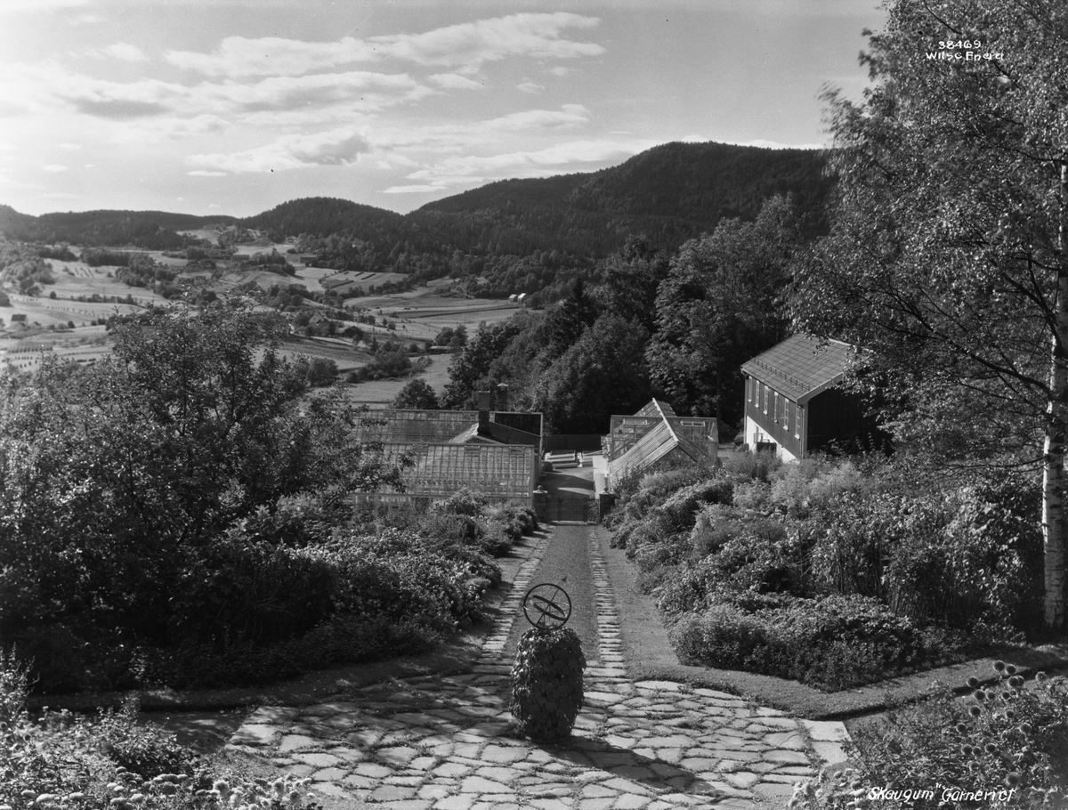 Anders Beer Wilse, Prot: Skaugum soluret med drivhuset