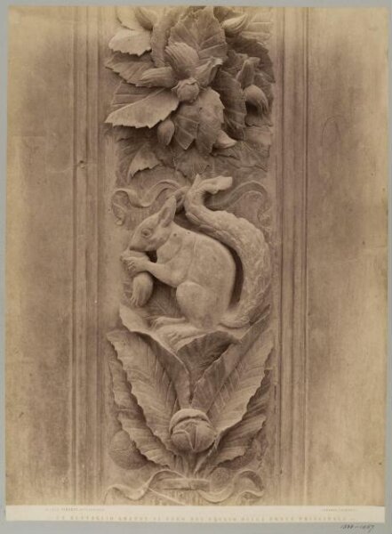 Fratelli Alinari, Photograph