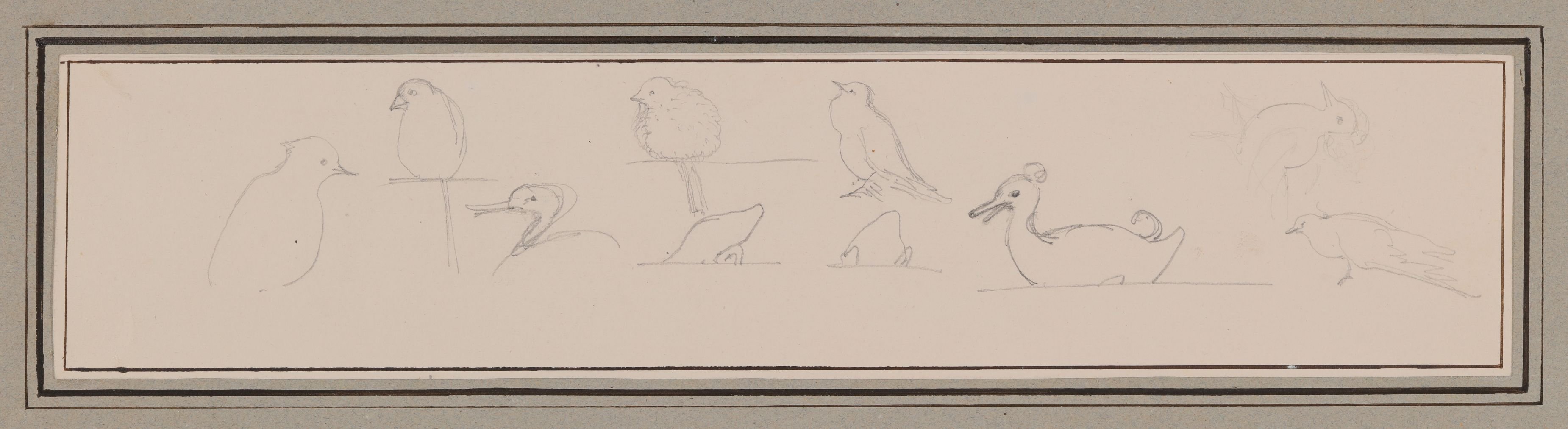 Armgart von Arnim, "Flüchtige Zeichnungen" von Vögeln [aus der "geblümten Kassette"]