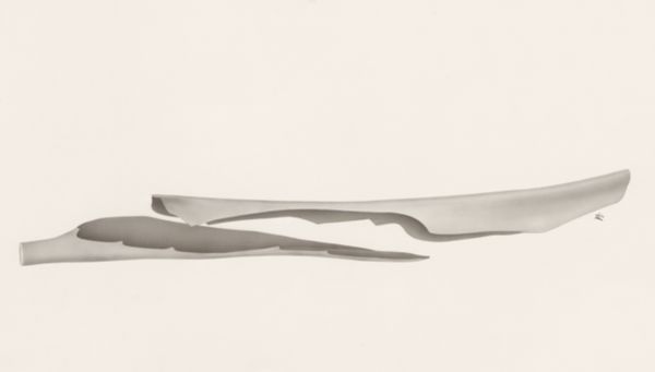 J Tinkelenberg, Muscular tissue