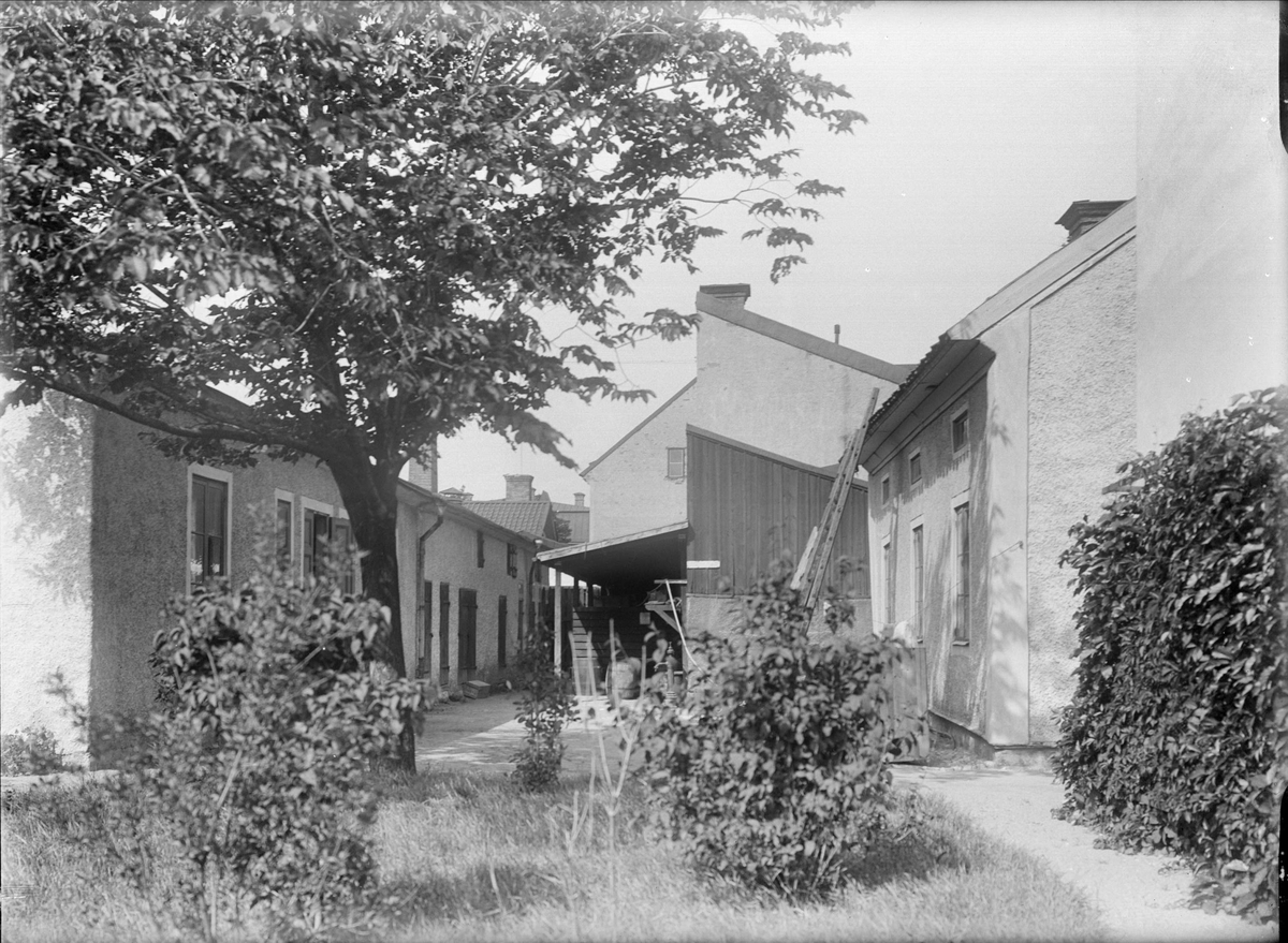 Alfred Dahlgren, Interior of the estate, Sigurd neighborhood, Hamnesplanaden 6, Kungbed, Uppsala 1908