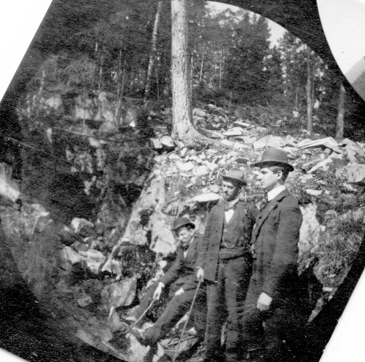 Fredrik Carl Mülertz Størmer, Prof. Kr. (ant.) Birkeland, prof. Carda, Wien, Edgar Odell Lavett, Houston, Texas, i skogen ved Båntjern, Frognerseterskogen, Oslo.
