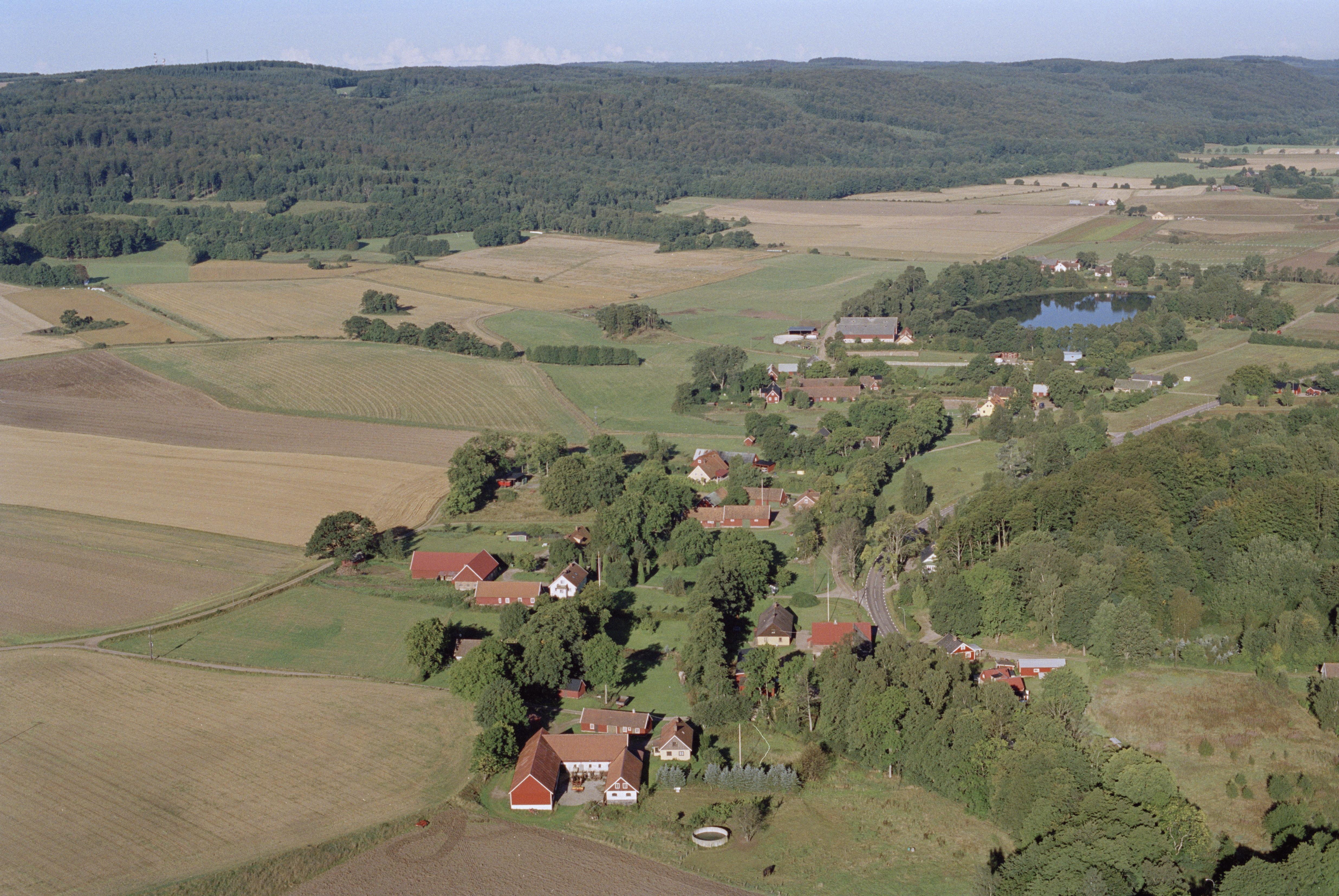 Jan Norrman, Riseberga 209:1