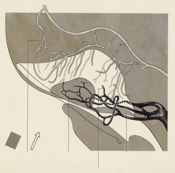 J Tinkelenberg, Cardiovascular system of an embryo