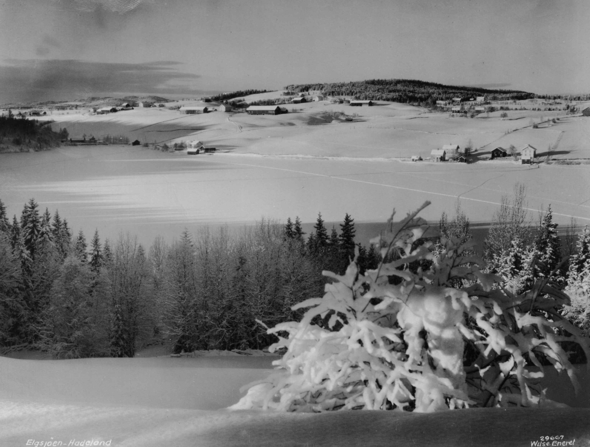 Anders Beer Wilse, Vinter Sno Elgsjoen Hadeland