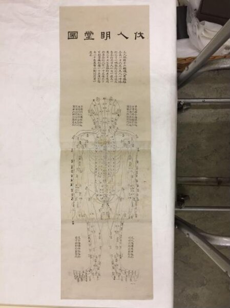 Unknown, Acupuncture Chart, Back View of the Human Body