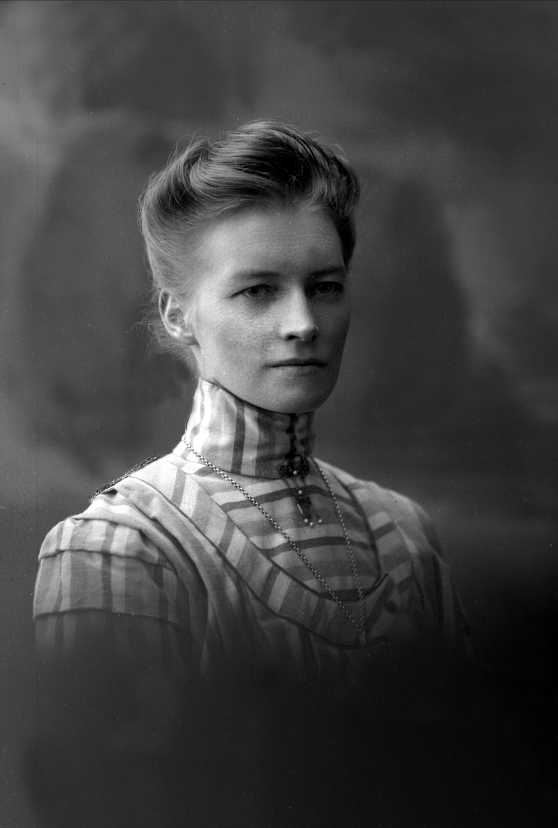 Gustav Borgen, NFB.22325