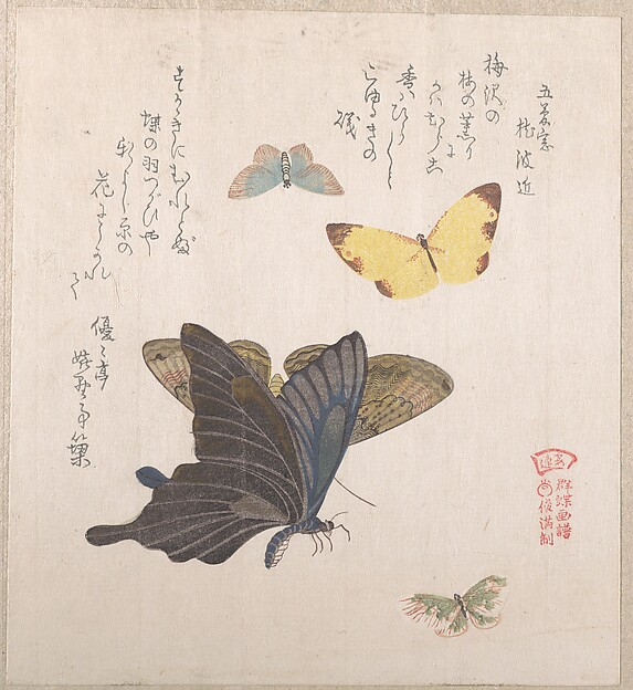 Kubo Shunman, Various Moths and Butterflies