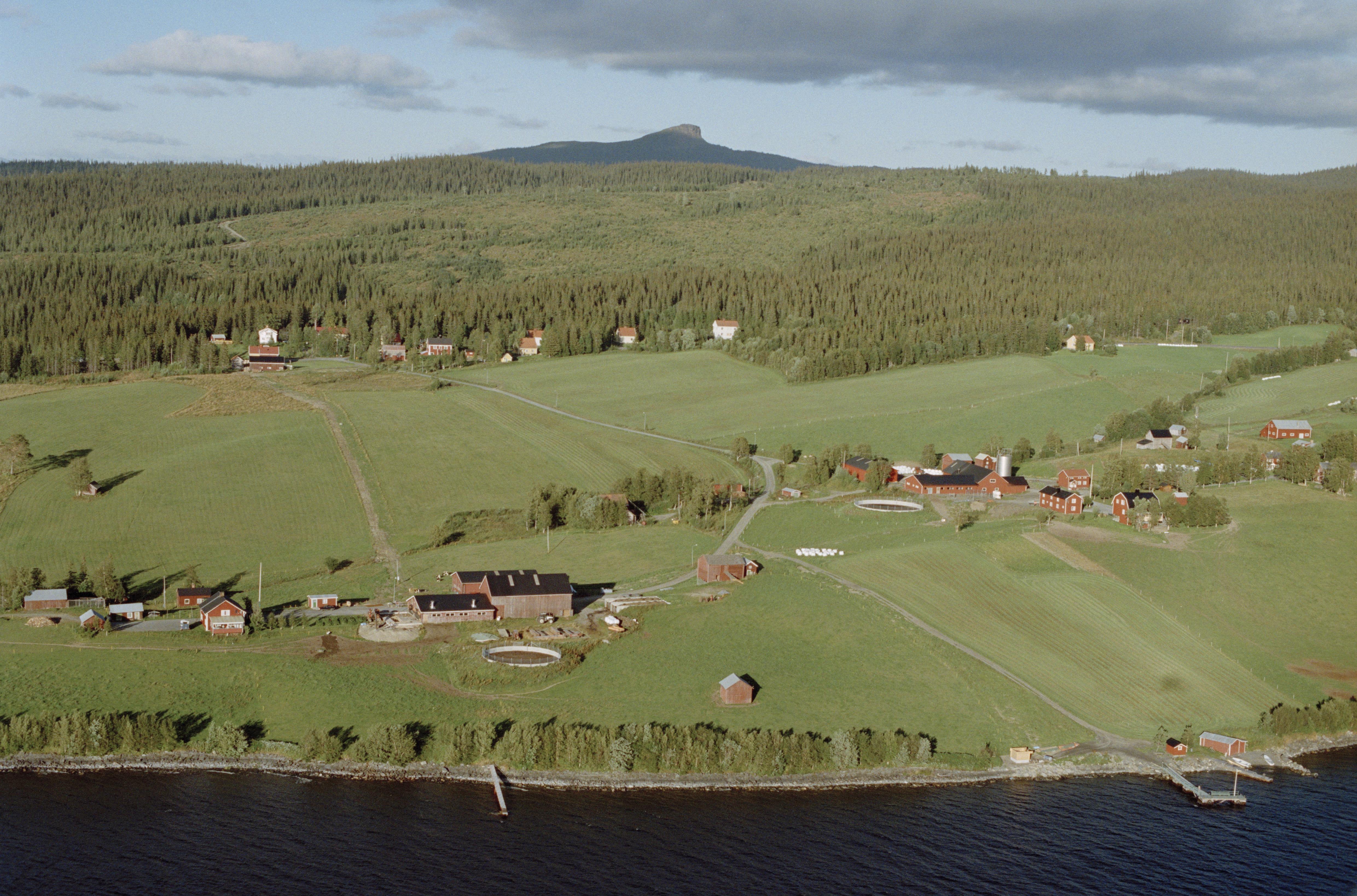 Jan Norrman, Kall-Rör