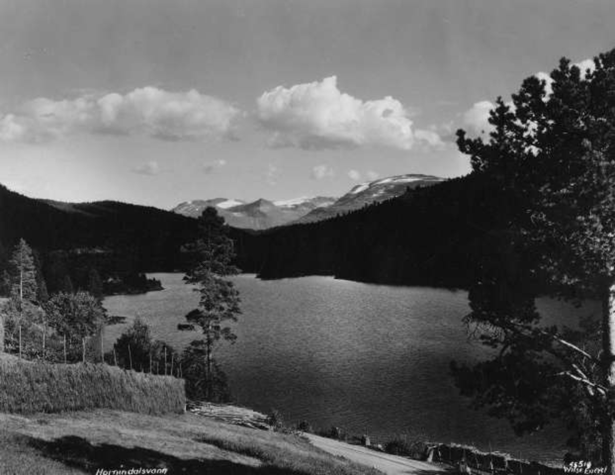 Anders Beer Wilse, -6752