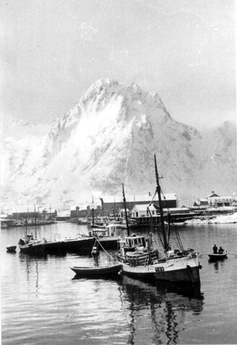 Anders Beer Wilse, Lofotfiske