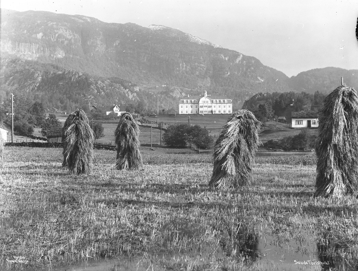 Anders Beer Wilse, Prot: Saude Turisthotel