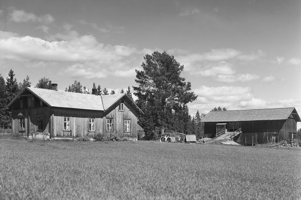 Anno Domkirkeodden, EKSTR: GARDSTUN, NORDBERG. Se Løtenboka, bind 2. Bygdeboka fra 1953, side 342