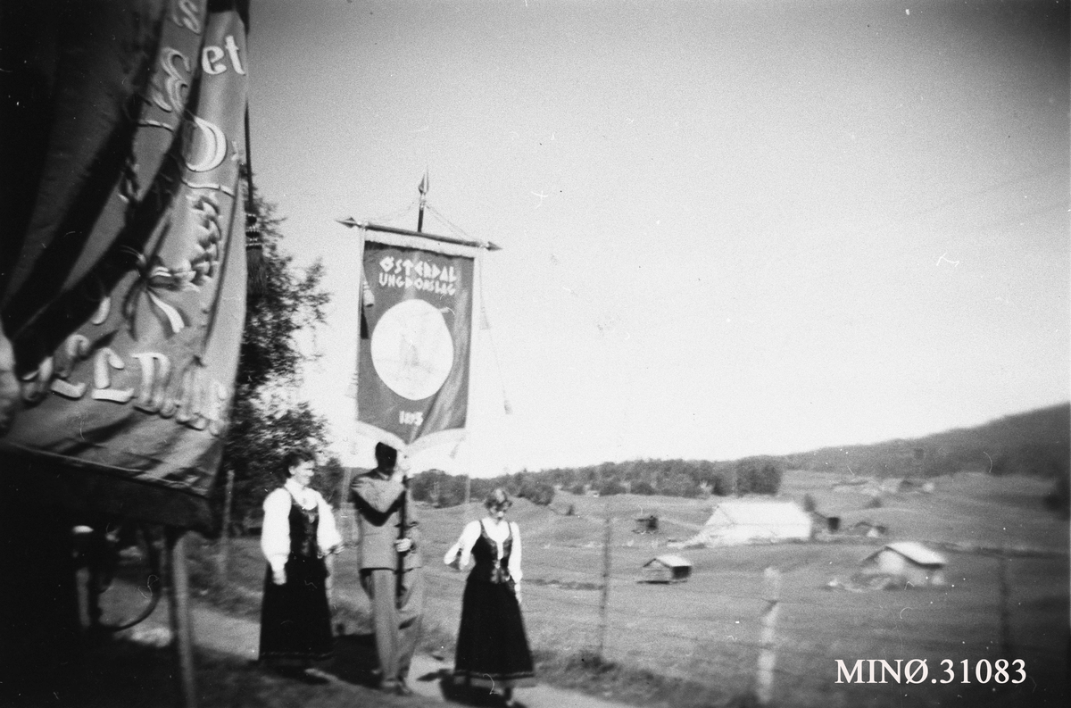 Ukjent, Avduking av fylkeslagsfanen under fylkeslagsstevne